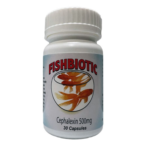 is fish cephalexin safe for dogs