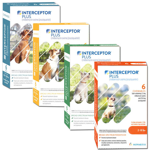 interceptor plus chewable tablets for dogs
