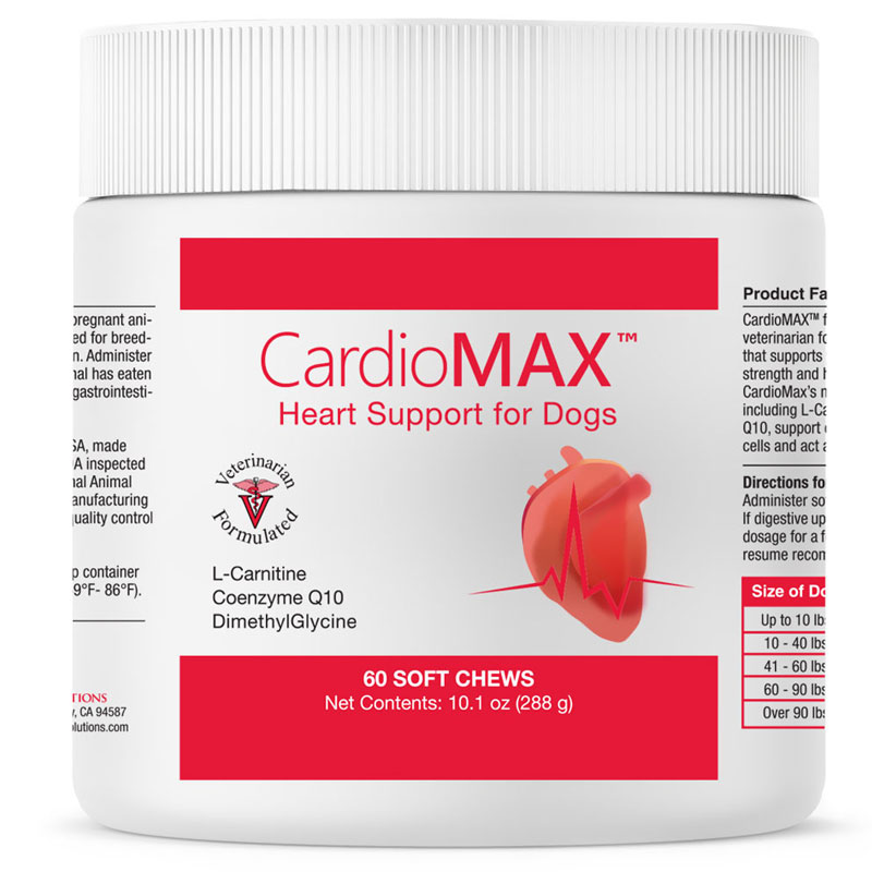 maxxidog – maxxicardio Complément Alimentaire Cardiaque & Vasculaire pour  Chien – Supplément Canin pour la de la Santé Cardiovasculaire, Endurance et