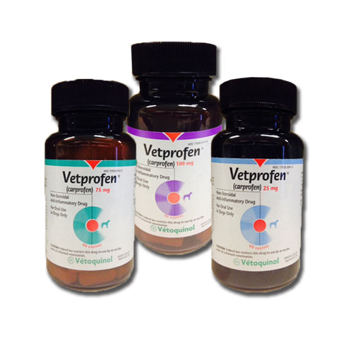 Vetprofen 100mg store