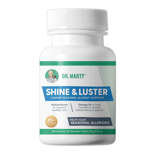 Dr marty hotsell dog supplement