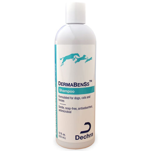 dermabenss shampoo for dogs