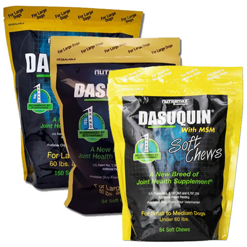 nutramax dasuquin with msm soft chews joint health large dog supplement
