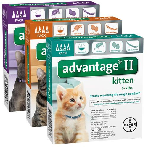 advantage 2 for cats