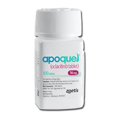 apoquel medicine