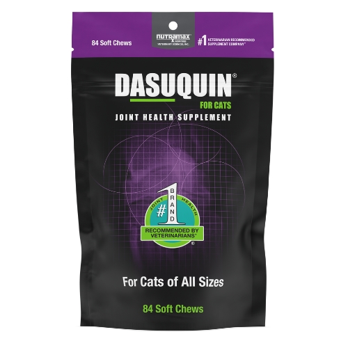 Nutramax dasuquin with msm soft chews best sale