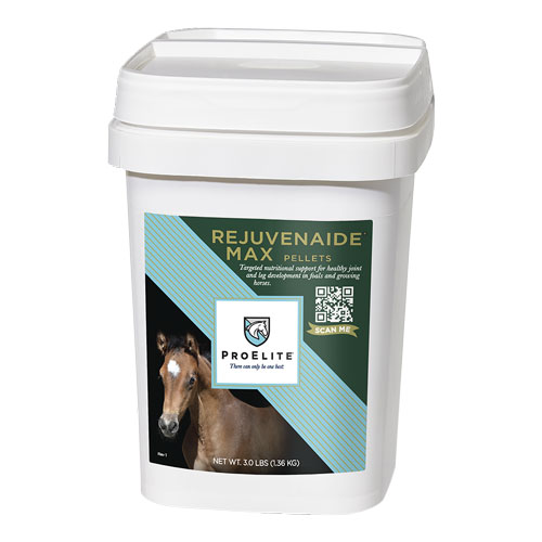 Rejuvenaide Max Pellets Heartland Vet Supply