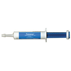 Panacur Paste -25gm Syringe- Heartland Vet Pharmacy