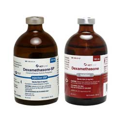 Dexamethasone Injection Dose For Dogs