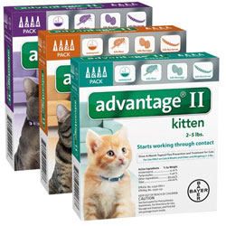 Advantage II For Cats - HeartlandVetSupply.com