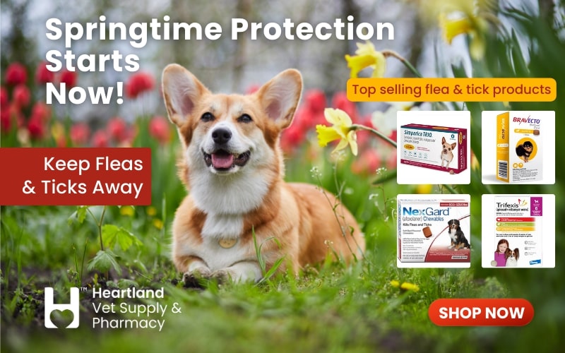 Shop Flea and Tick Preventatives at Heartland!