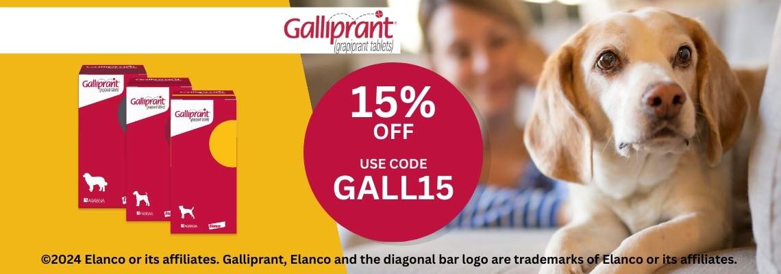 Galliprant and gabapentin for hot sale dogs