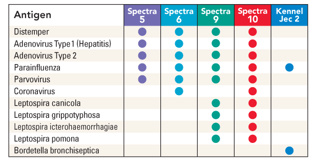 does canine spectra 5 kill worms