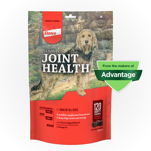 Canine Hip/Joint Supplements