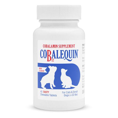 Clovite supplement outlet for dogs