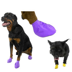 Pawz Rubber Dog Boots Large Size Waterproof Dog Boots for All Season Protection