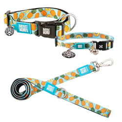 Max & Molly Smart ID Sweet Pineapple & Leash Collection