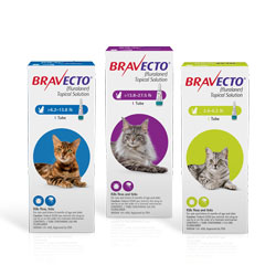 Bravecto Topical Solution for Cats