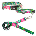 Max & Molly Smart ID Tropical Collar & Leash Collection