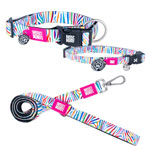 Max & Molly Smart ID Magic Zebra Collar & Leash Collection