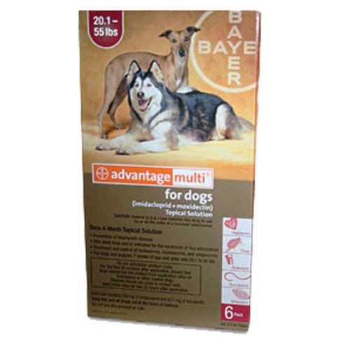 Pet supply advantage outlet multi for dogs