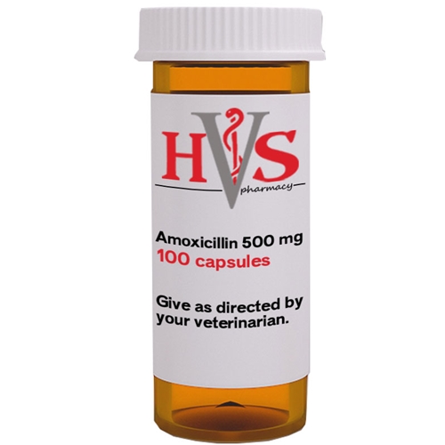 can you give a dog amoxicillin 500mg