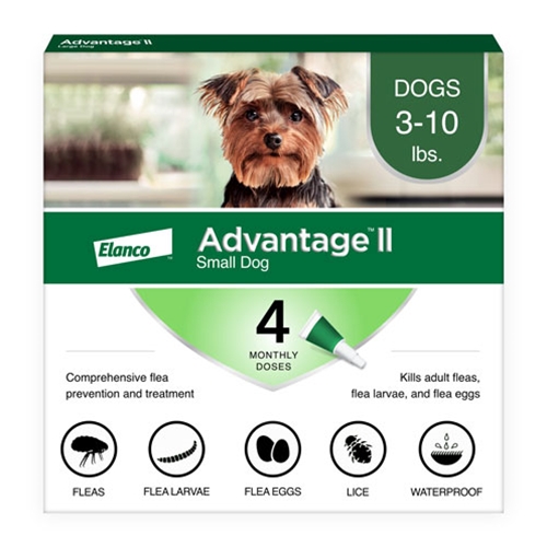 Advantage dog flea shampoo sale