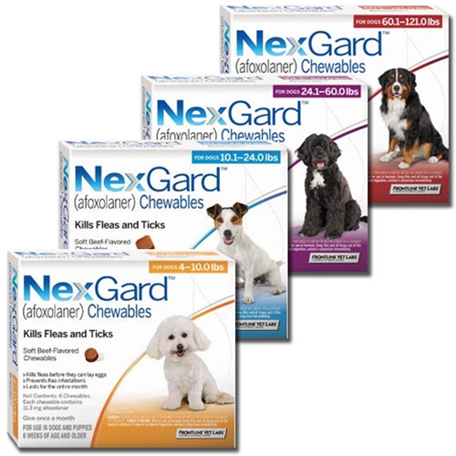 nexgard for dogs