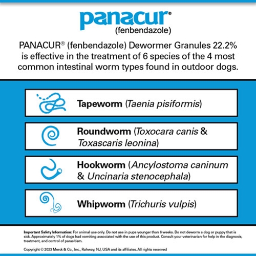 Panacur wormer for puppies dosage hotsell