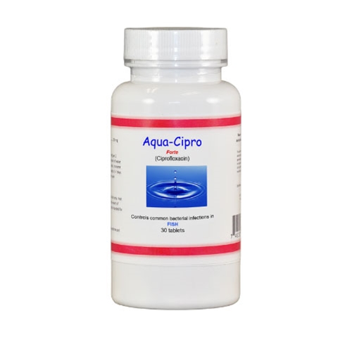 Buying Ciprofloxacin