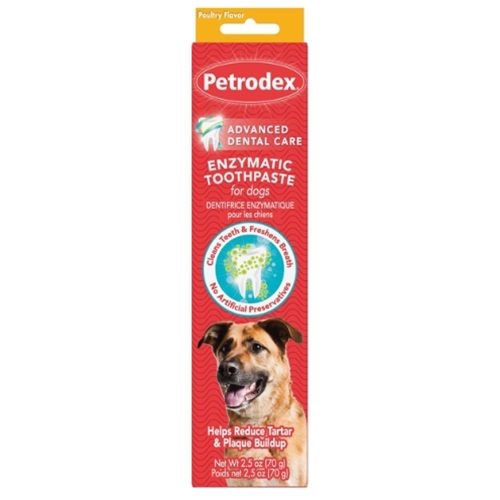 Poultry flavored dog toothpaste hotsell