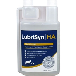 Lubrisyn HA Oral Gel