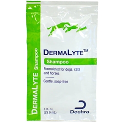 DermaLyte Shampoo